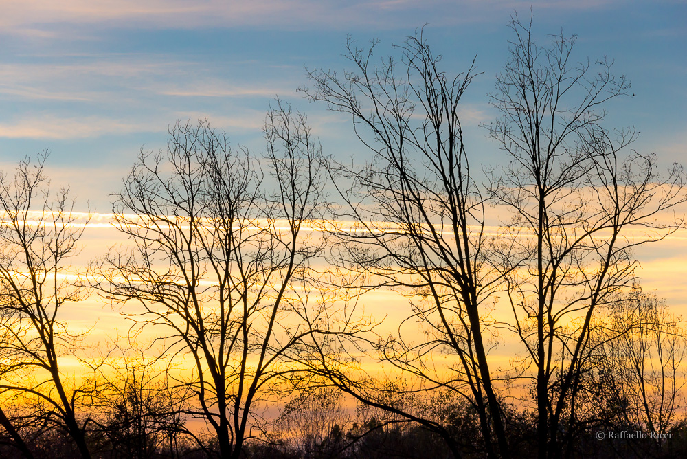 Parco degli aironi (4)